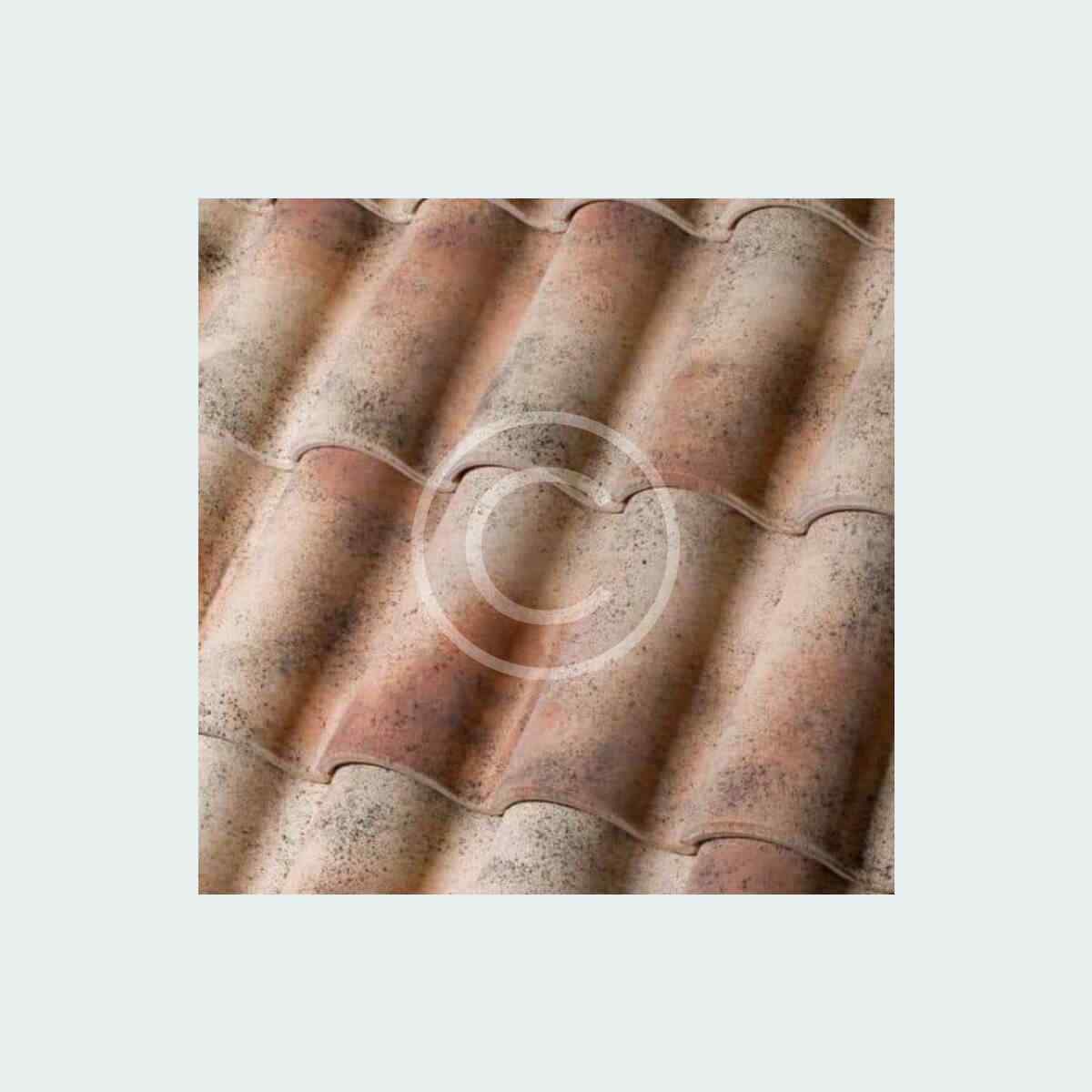 Holland clay pantile